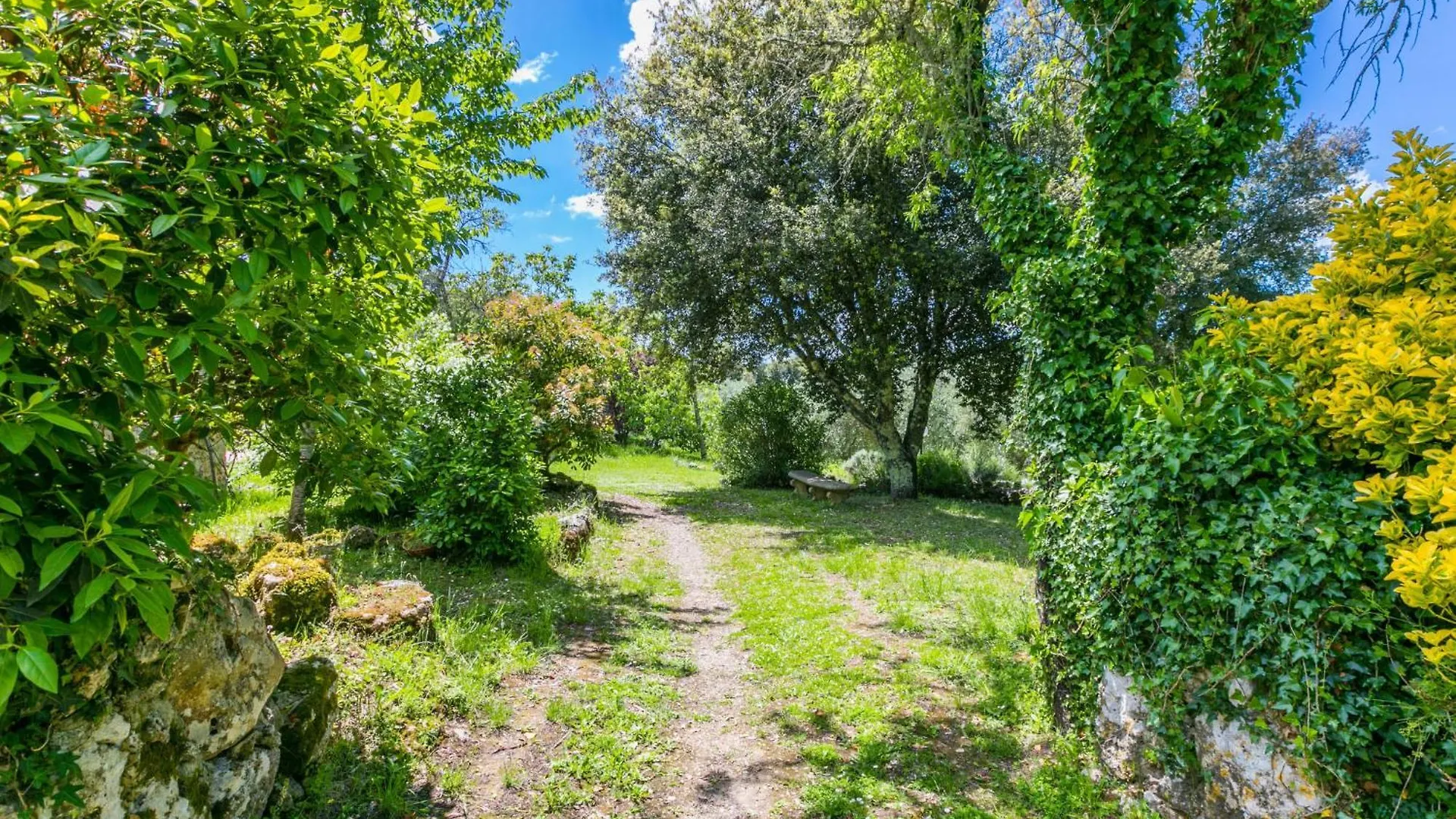 Holiday Home Casino Di Lecceto By Interhome Siena